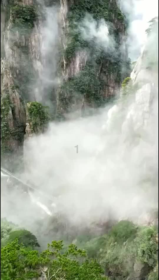 熊出没水果大陆2